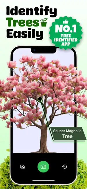 Tree Identifier - Leaf AI Scan screenshot 1