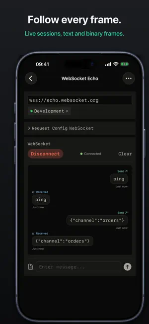 ProbePad - API Client screenshot 4