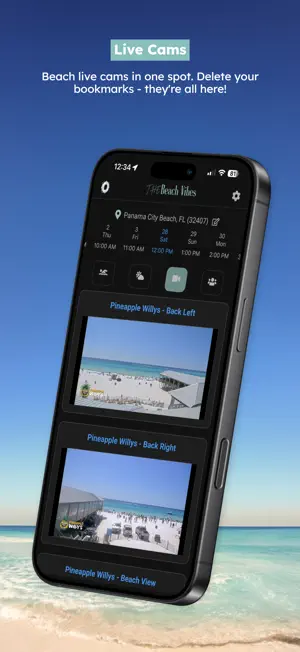 The Beach Vibes screenshot 2