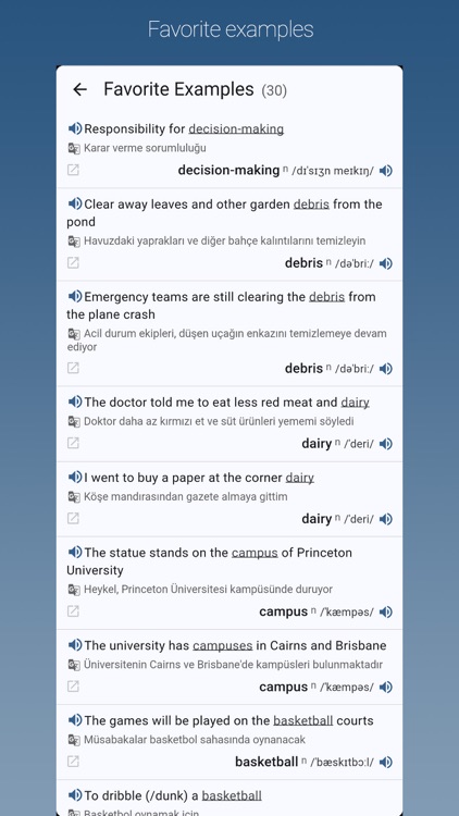 English-Turkish Dictionary Pro screenshot-7