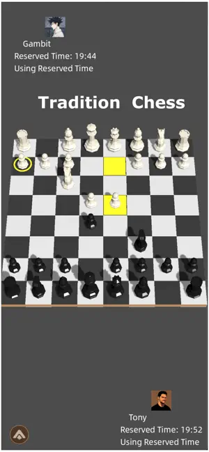 Reveal & Flip Chess Online screenshot 3