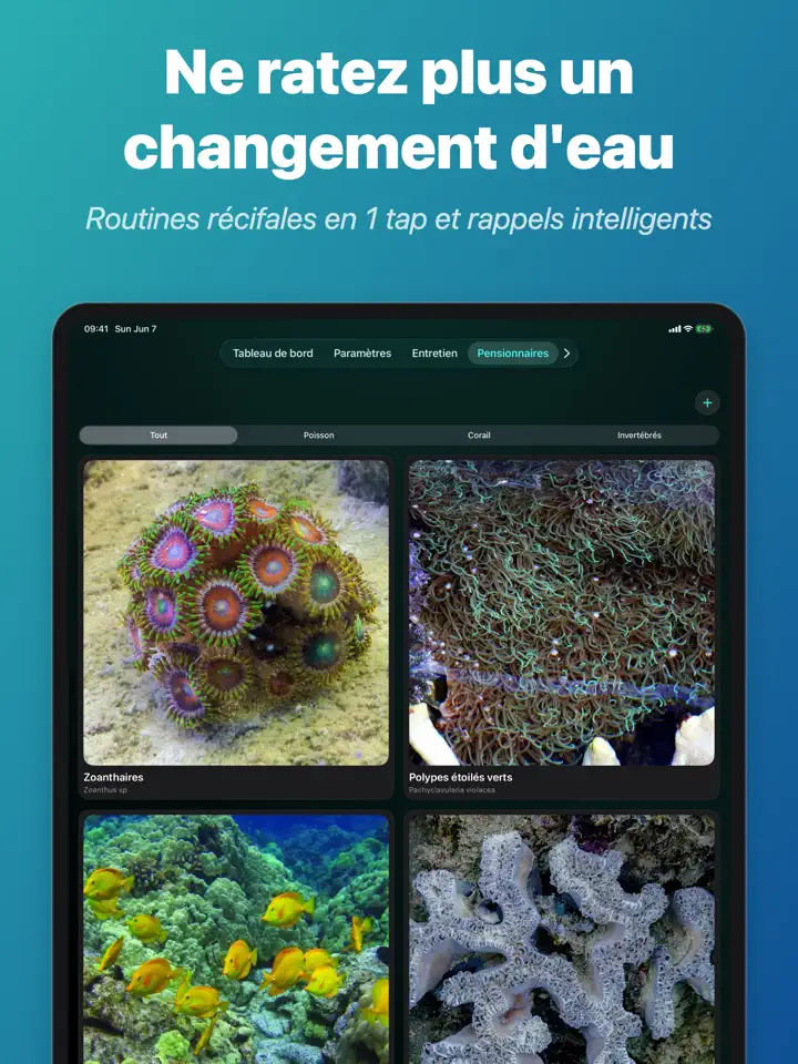 Reeflo sur iPad : capture d’écran 5 sur 6