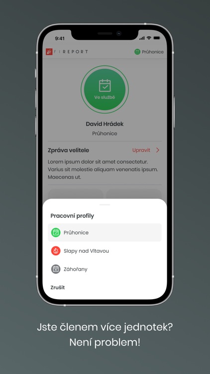 FIREPORT screenshot-4