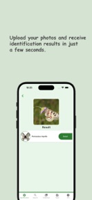 Butterfly: Identify, Search screenshot