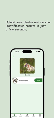Butterfly: Identify, Search screenshot
