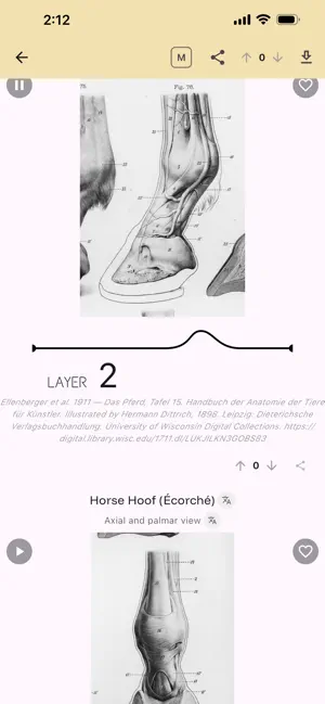Kineograph: Flipbook for Study screenshot 4