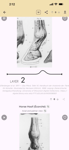 Kineograph: Flipbook for Study Screenshot 4 of 10