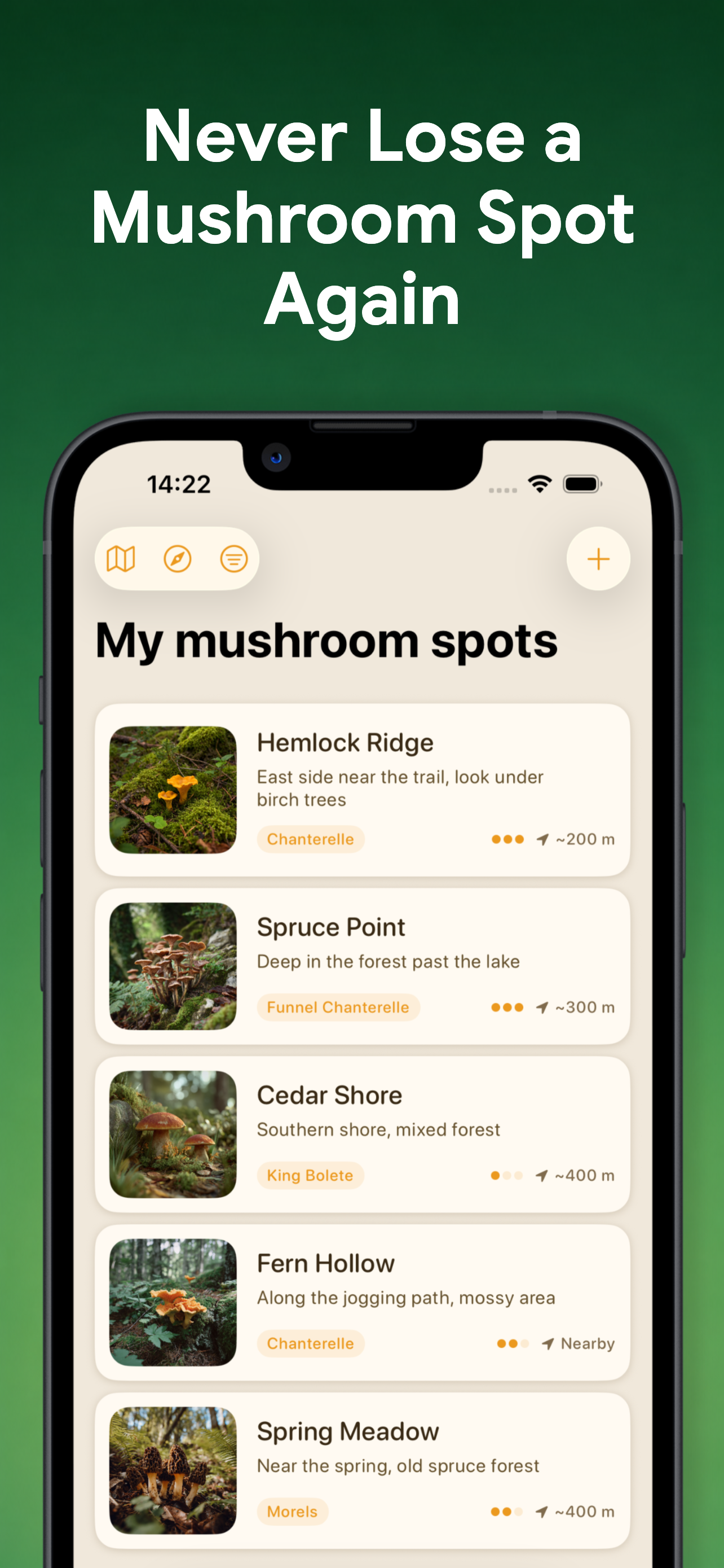 My Mushroom Spots