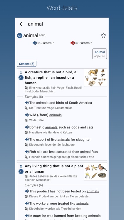 English-German Dictionary Pro