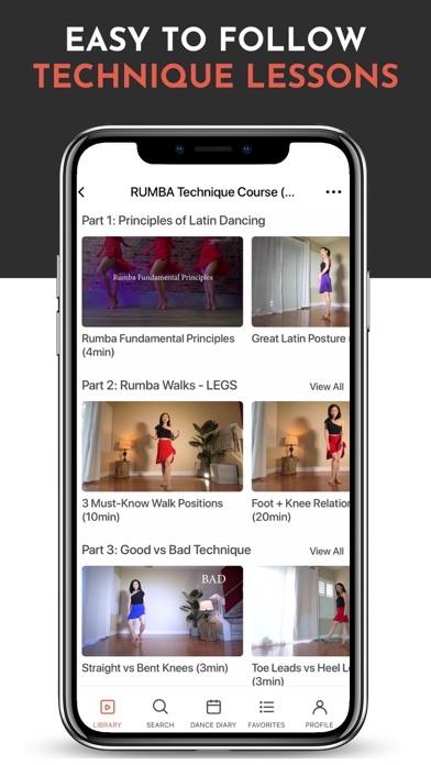 Hips+Heels: Latin Dance Basics Screenshot