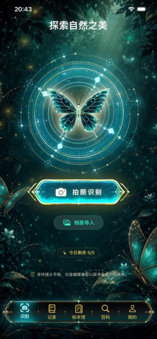 AI 蝴蝶识别 screenshot