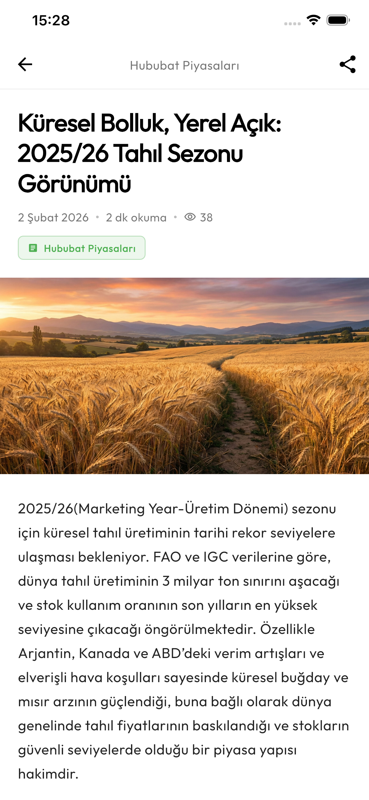 GrainLid