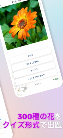 花の名前マスター300 iPhone screenshot