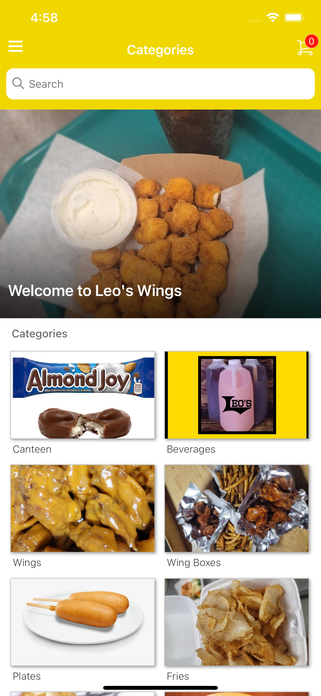Leo's Wings