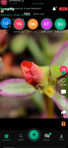 Loopify EN 2026 screenshot
