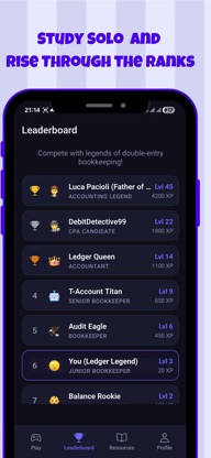 Double Entry: Accounting Game screenshot 4