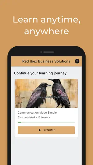 Raven Business Coaching screenshot 4