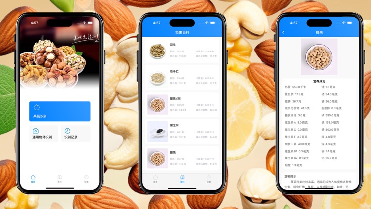 坚果百科-图片智能识别专家，热量、脂肪、碳水含量大全