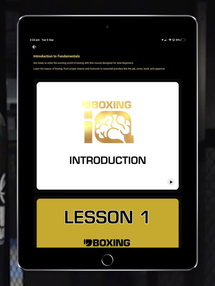 Boxing IQ