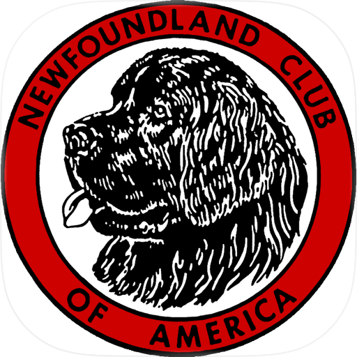 MyNCA