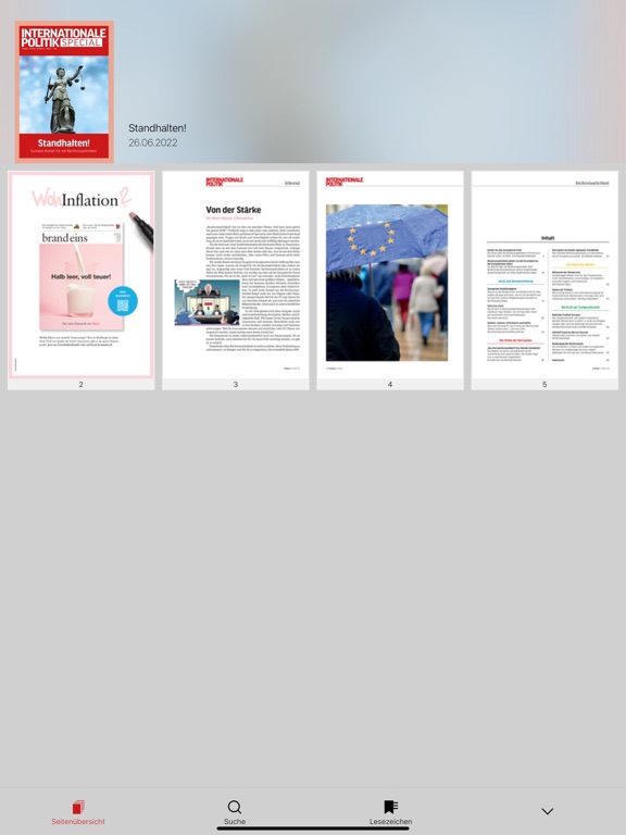 Screenshot #6 pour IP INTERNATIONALE POLITIK