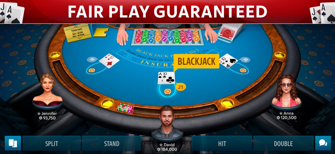 Blackjack 21: Blackjackist screenshot