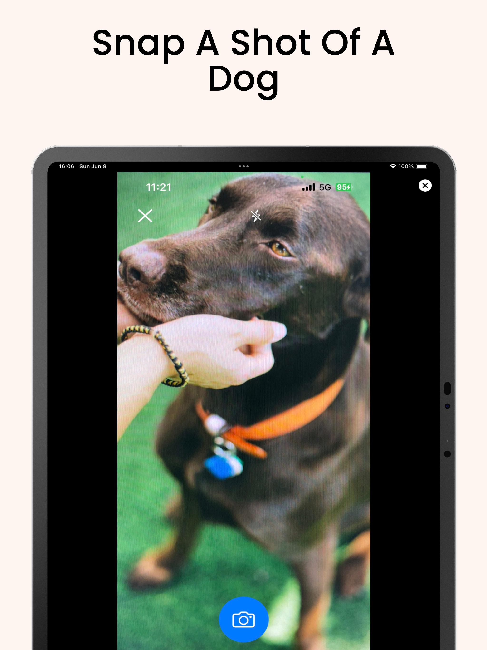 Dog Identifier: Dogtastic screenshot 10