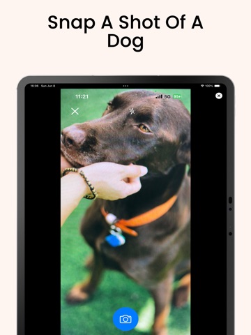 Dog Identifier: Dogtastic iPad screenshot