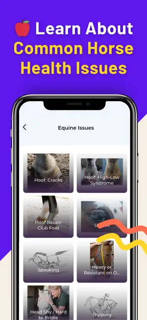 Holistic Horseworks Remedies screenshot 2