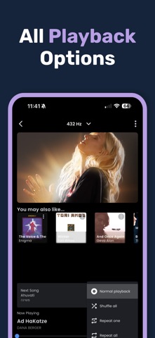 432 Player Plus screenshot