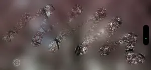 Foggy Cam screenshot 4