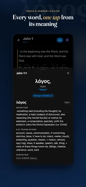 Deep Study Bible (No Ads) screenshot 2