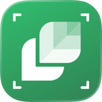 Identificar Plantas: LeafSnap
