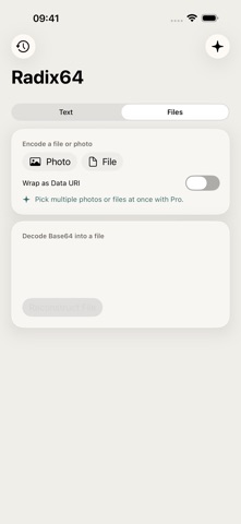 Radix64: Base64 Encoder iPhone screenshot