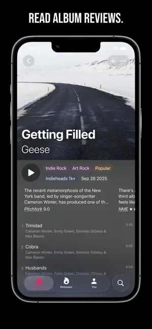 Pretty Good Music screenshot 2