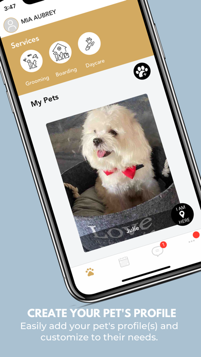 Dog Kingdom Screenshot