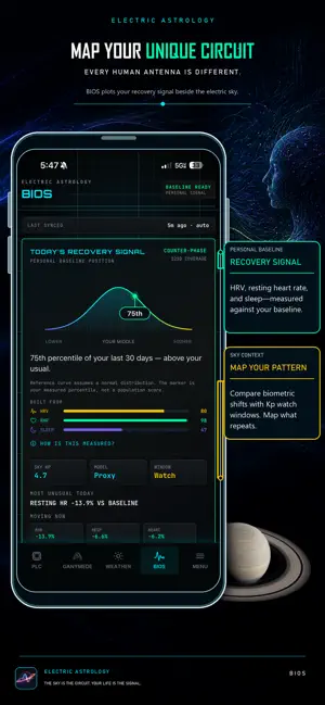 Electric Astrology screenshot 4