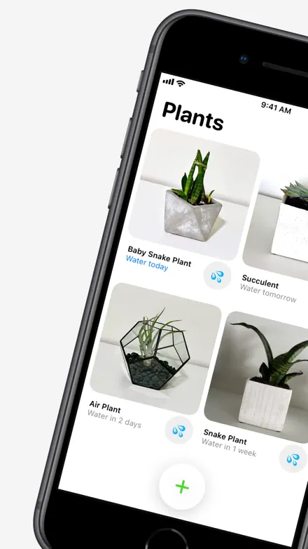 Plant Daddy screenshot 1