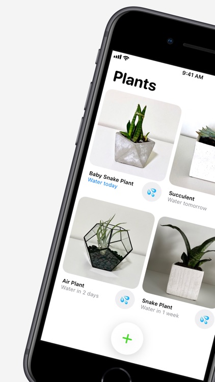 Plant Daddy — Water Reminders