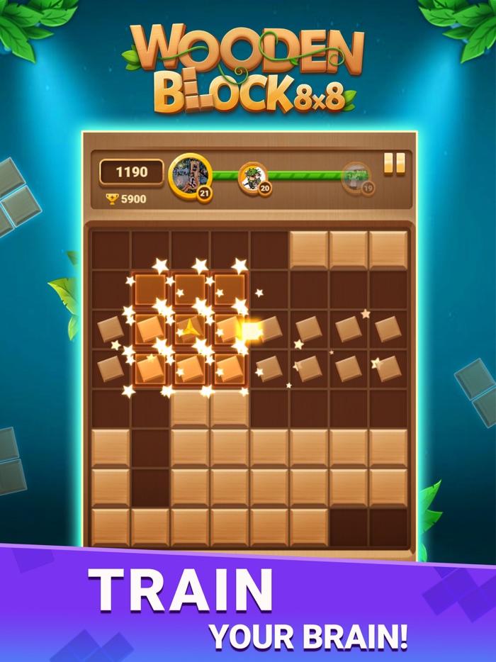 Block Puzzle Wood Block 8x8