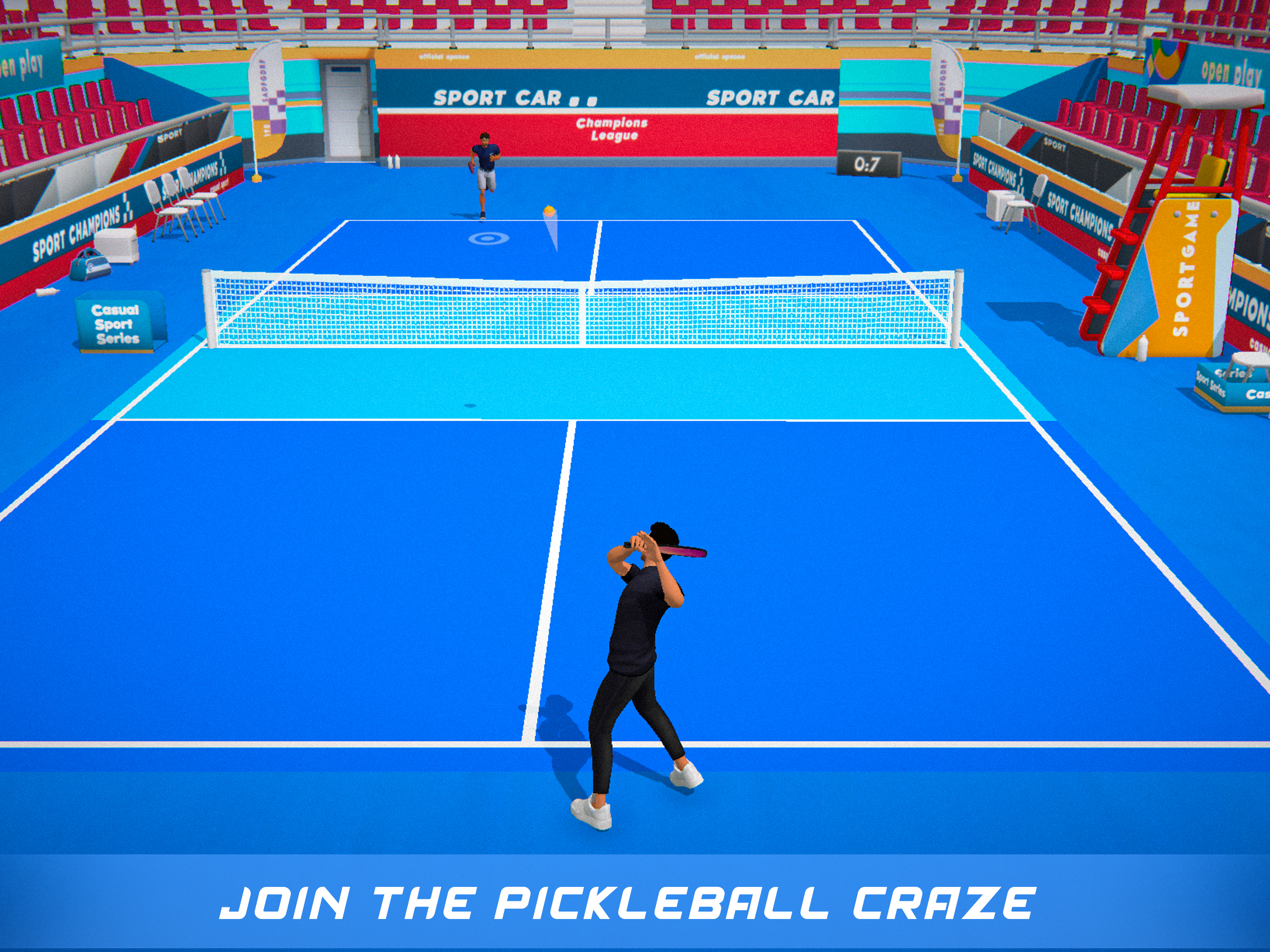 PickleBall 3d
