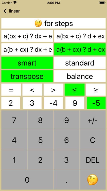 20/20 Linear Inequalities screenshot-5