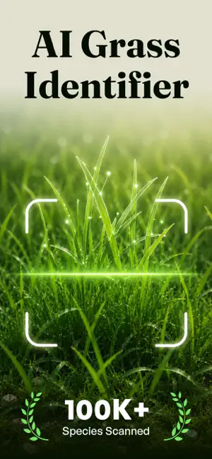 Grass Identifier - Grass AI screenshot 1