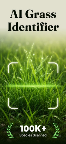 Grass Identifier - Grass AI iPhone screenshot
