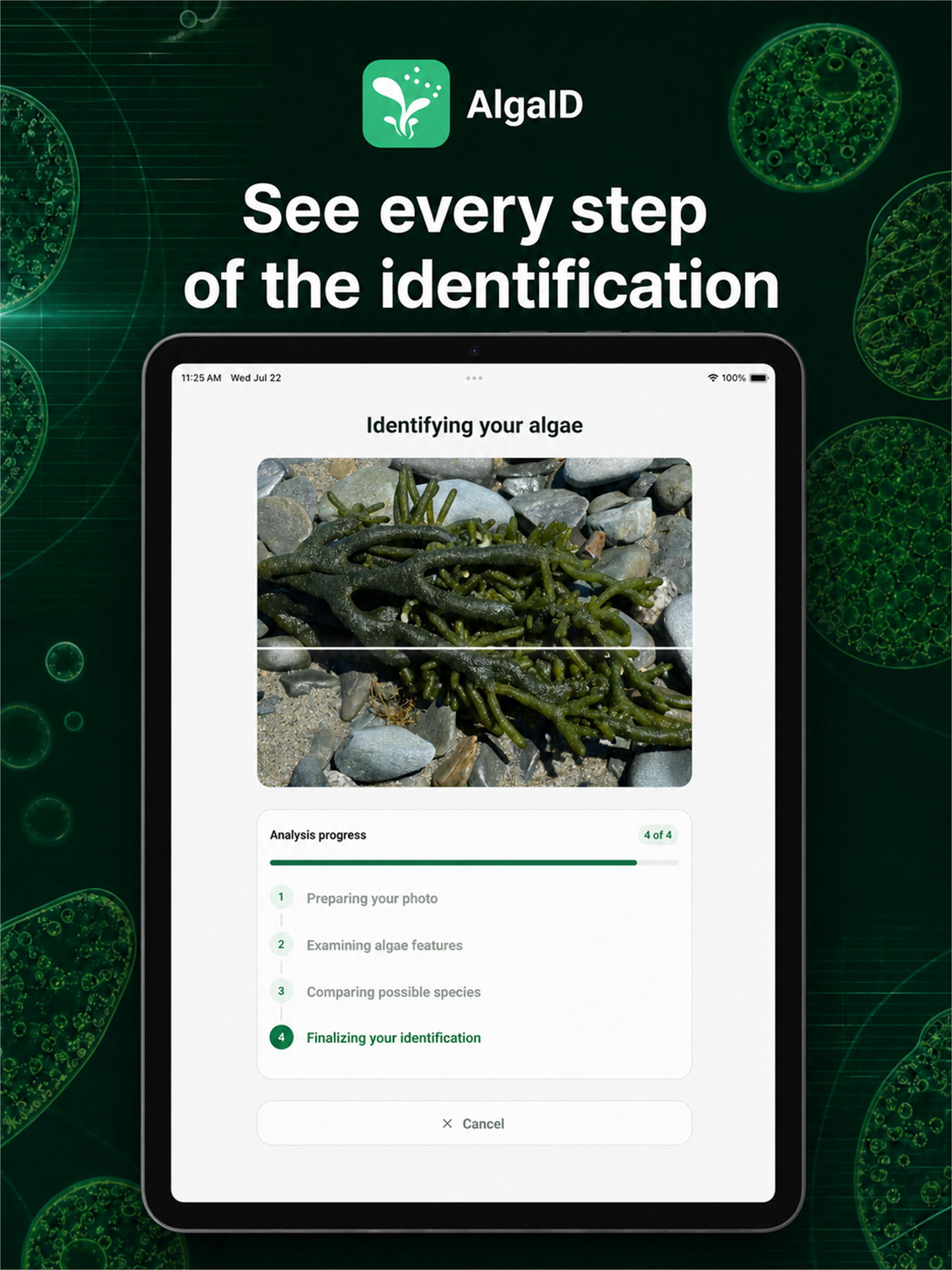 AlgaID screenshot 8