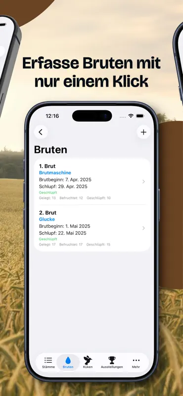 Hühnerzucht screenshot 3 of 10