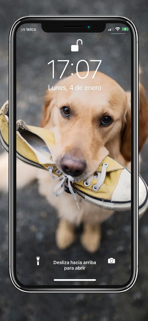 Screenshot #3 pour Animal Wallpapers 4K