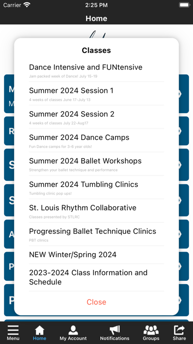 St. Louis Academy of Dance Screenshot