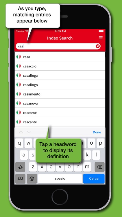 Dizionario Cinese Hoepli