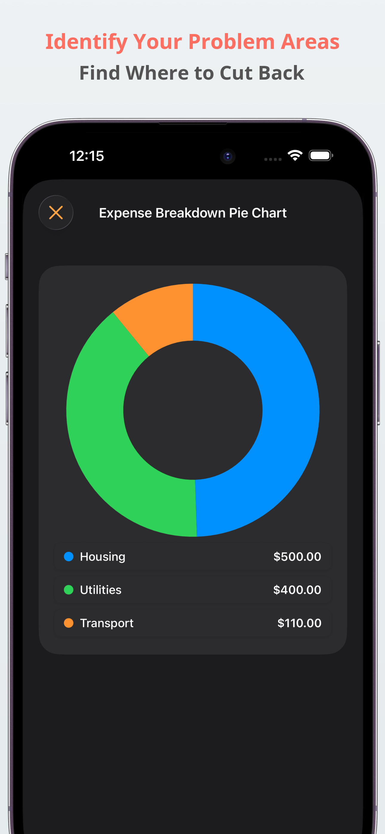 Bank Account Budget Tracker screenshot 5